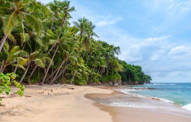 Tropical beach with turcquoise waters
