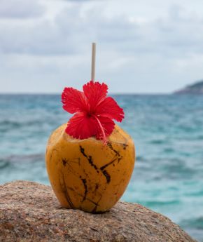 Coctail in a coconut with a sea view in the background