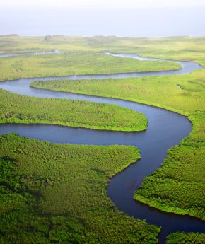 Aerial view of a river crossing tropical forest