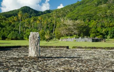 Ancient ruins in a tropical forest