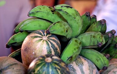 Tropical green bananas