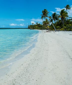 View of a sandy beach in a tropical island