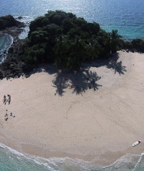 Sandy beach and a tropical forest
