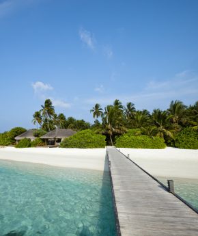 A serene beach with clear blue water and palm trees, visited on a Variety Cruises excursion