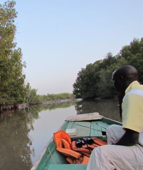A group of people on a boat on a river in Gambia