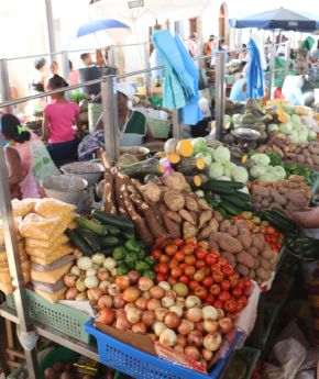 Local market with a variety of vegetables