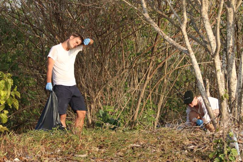 Tourists volunteering and cleaning a forest