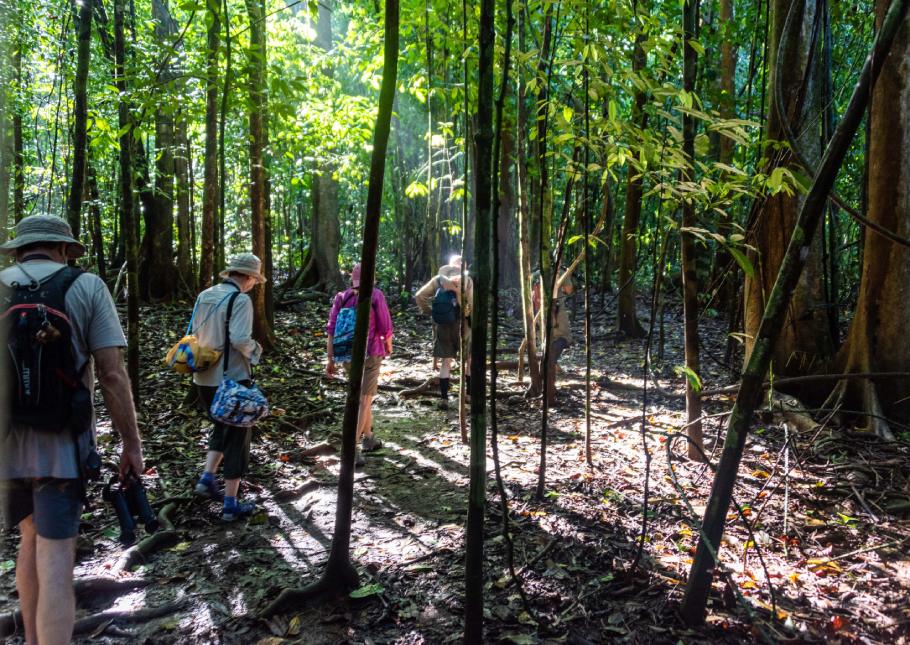 Hicking in a tropical forest with Variety Cruises