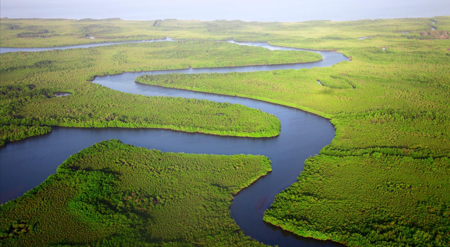 River crossing tropical forest