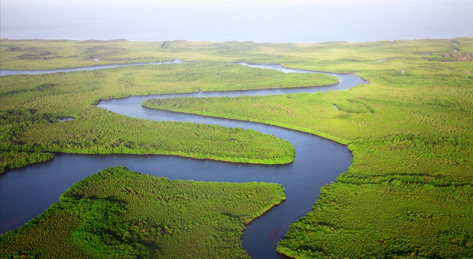 Aerial view of a river crossing tropical forest