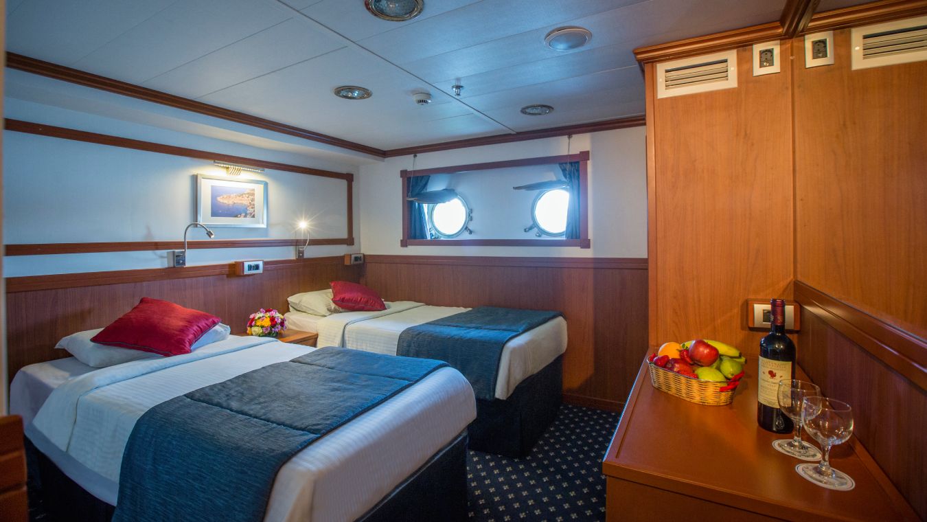 Galileo Cat B Cabin with elegant decor and modern amenities