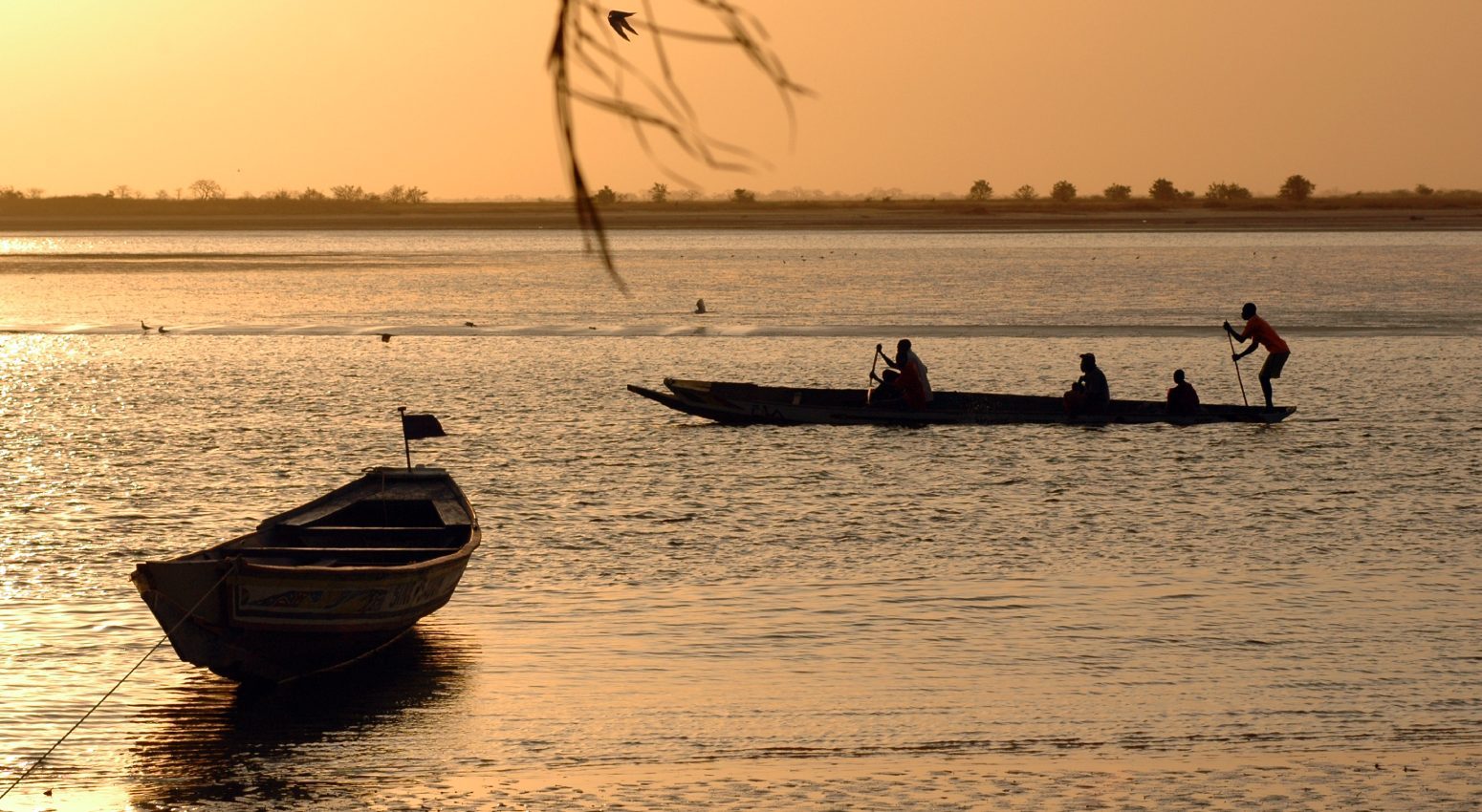 West Africa's breathtaking landscapes await you with Variety Cruises