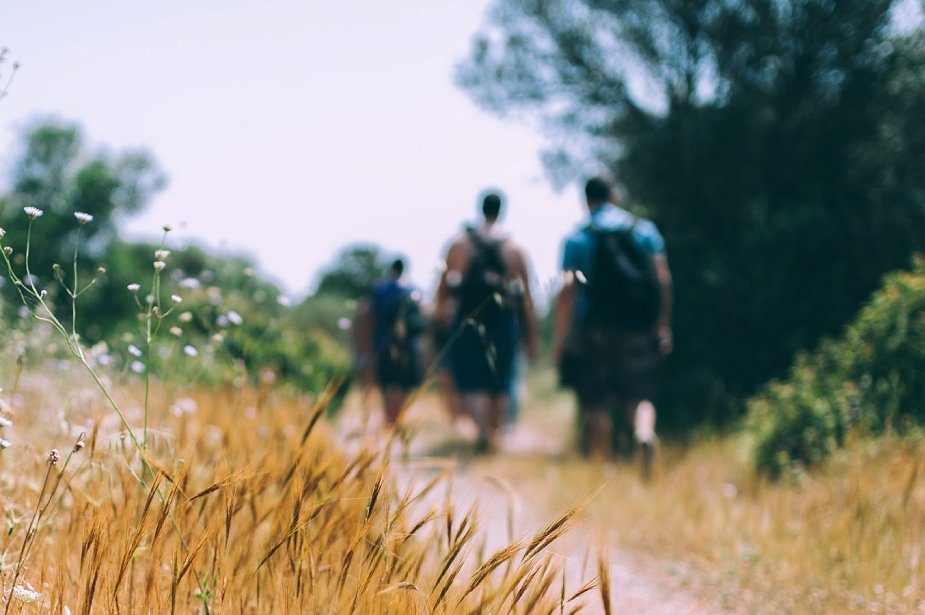 Group of friends on a hiking cruise.