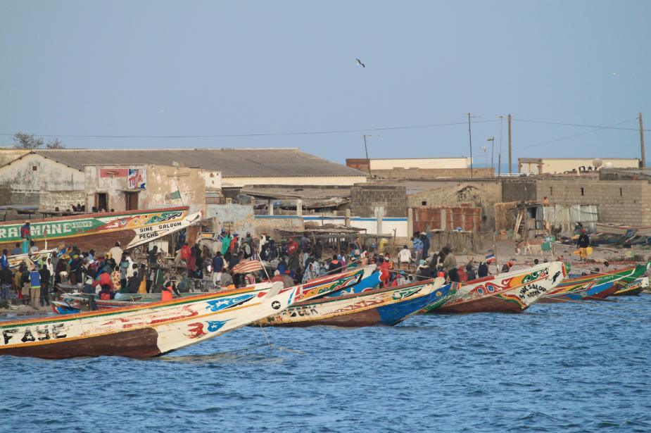 Local market and boats