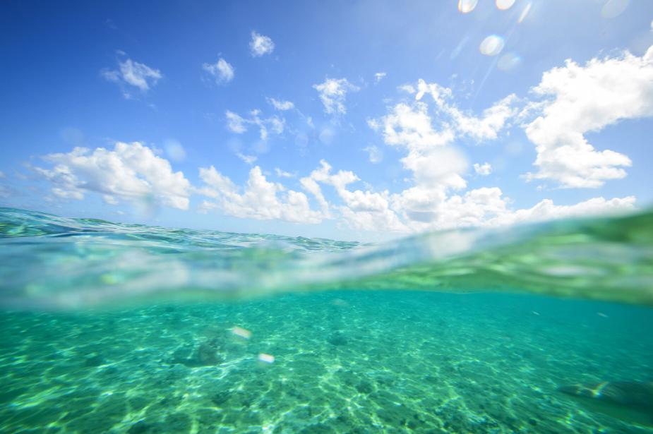 Underwater photo of turcquoise waters