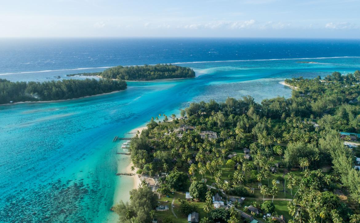 Take in the breathtaking views of Moorea on a Variety Cruises trip