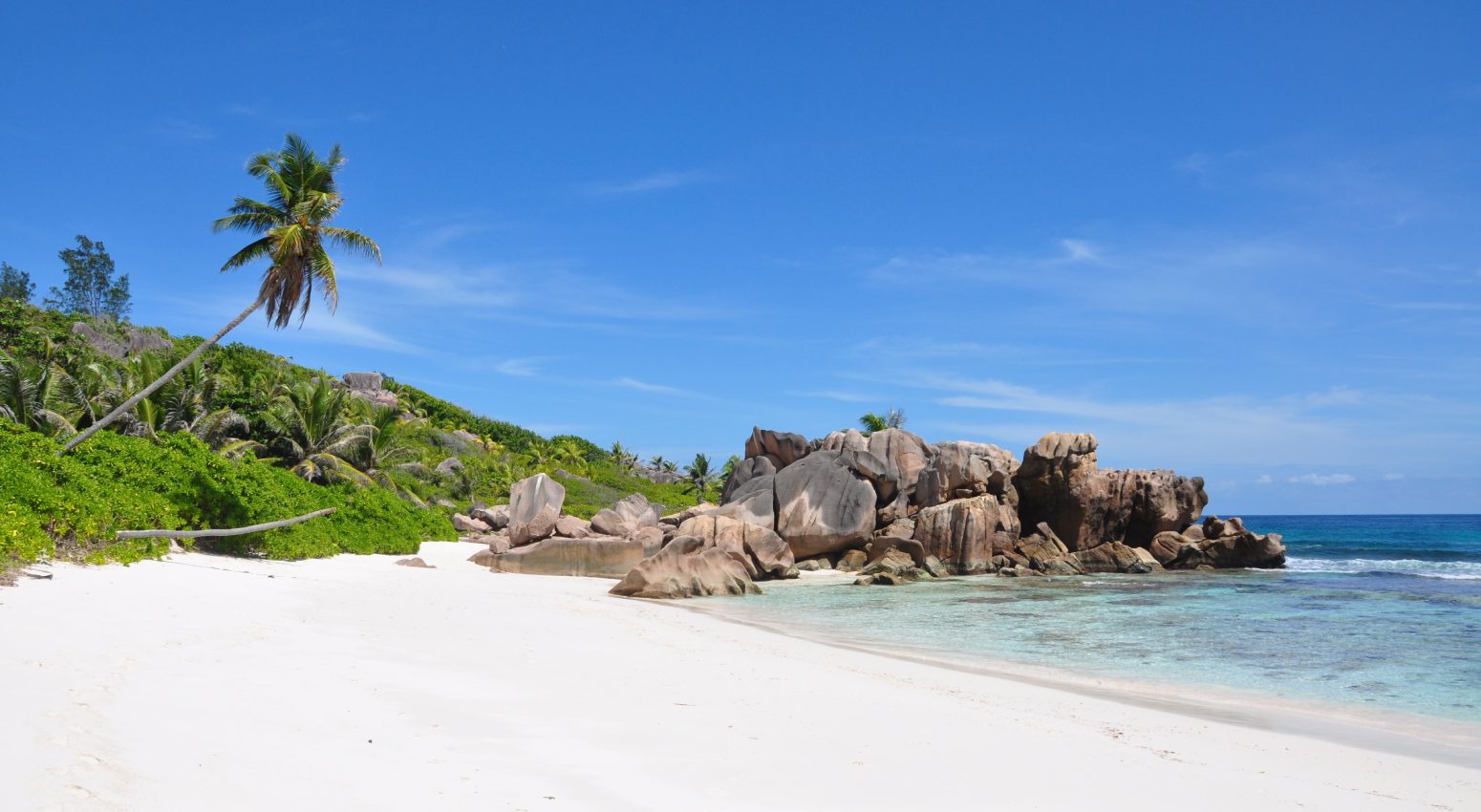 Tropical beach with turcquoise waters and tropical forest