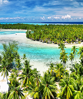 A beach next to a tropical forest