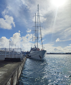 a Variety Cruises' ship anchored in a port