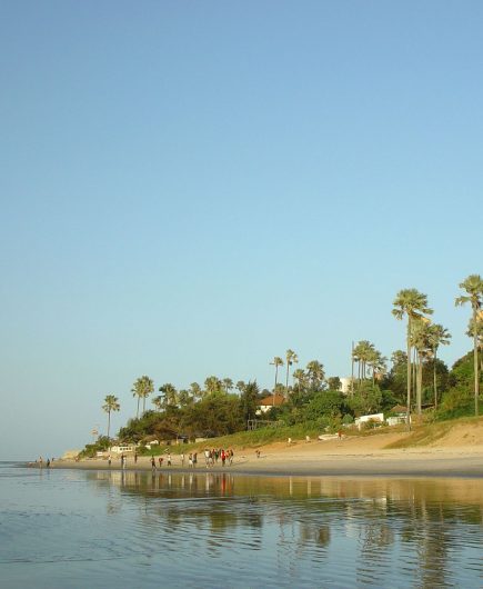 Golden sand beach in The Gambia with palm trees and blue sky