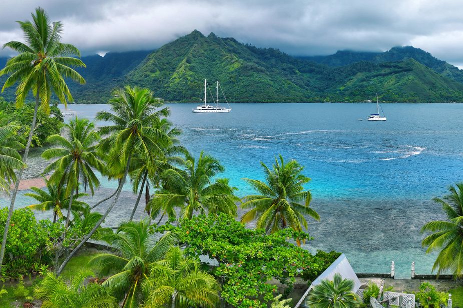 Aerial view of coconut trees with cruise ship in the distance in Tahiti