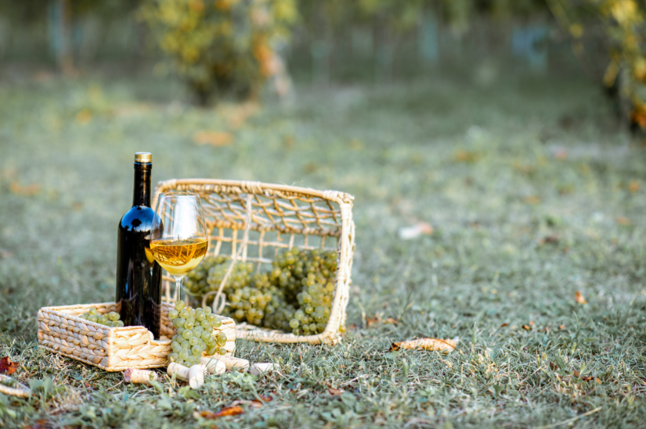 Greek wine cruise, wine cruise, wine tasting Greece, Greece vineyard tour, Greek wine regions, Santorini wine tour, Nemea wines, Variety Cruises, wine and travel, small ship cruise Greece, Panorama