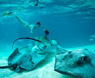 Underwater photo of marine life with Variety Cruises