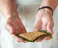 A chef presenting a local dish