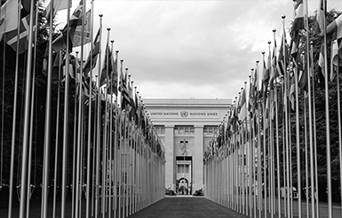 United Nations photo with the flags