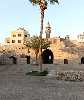 Traditional buildings and phoenix trees in Aqaba