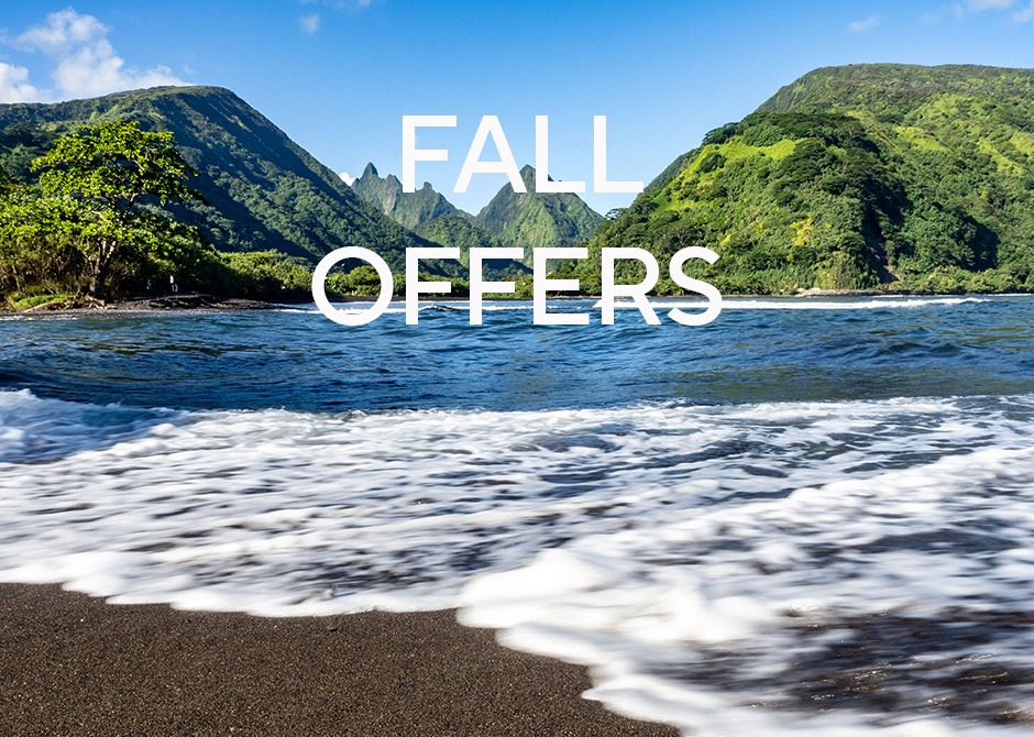 A tropical beach with a logo about fall offers