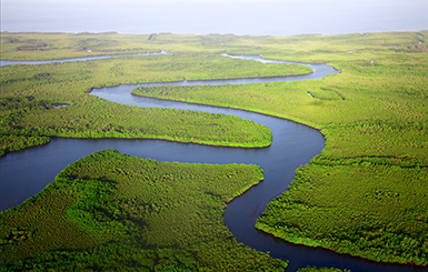 The Gambia river in West Africa