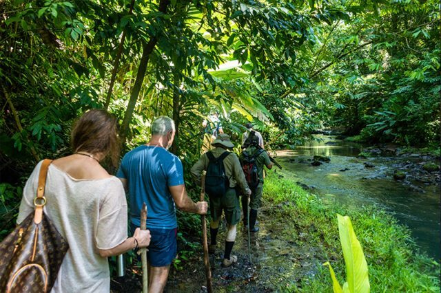 Exlporing the paradise in the beautiful jungle of Costa Rica