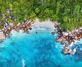 Seychelles beach, birds eye view