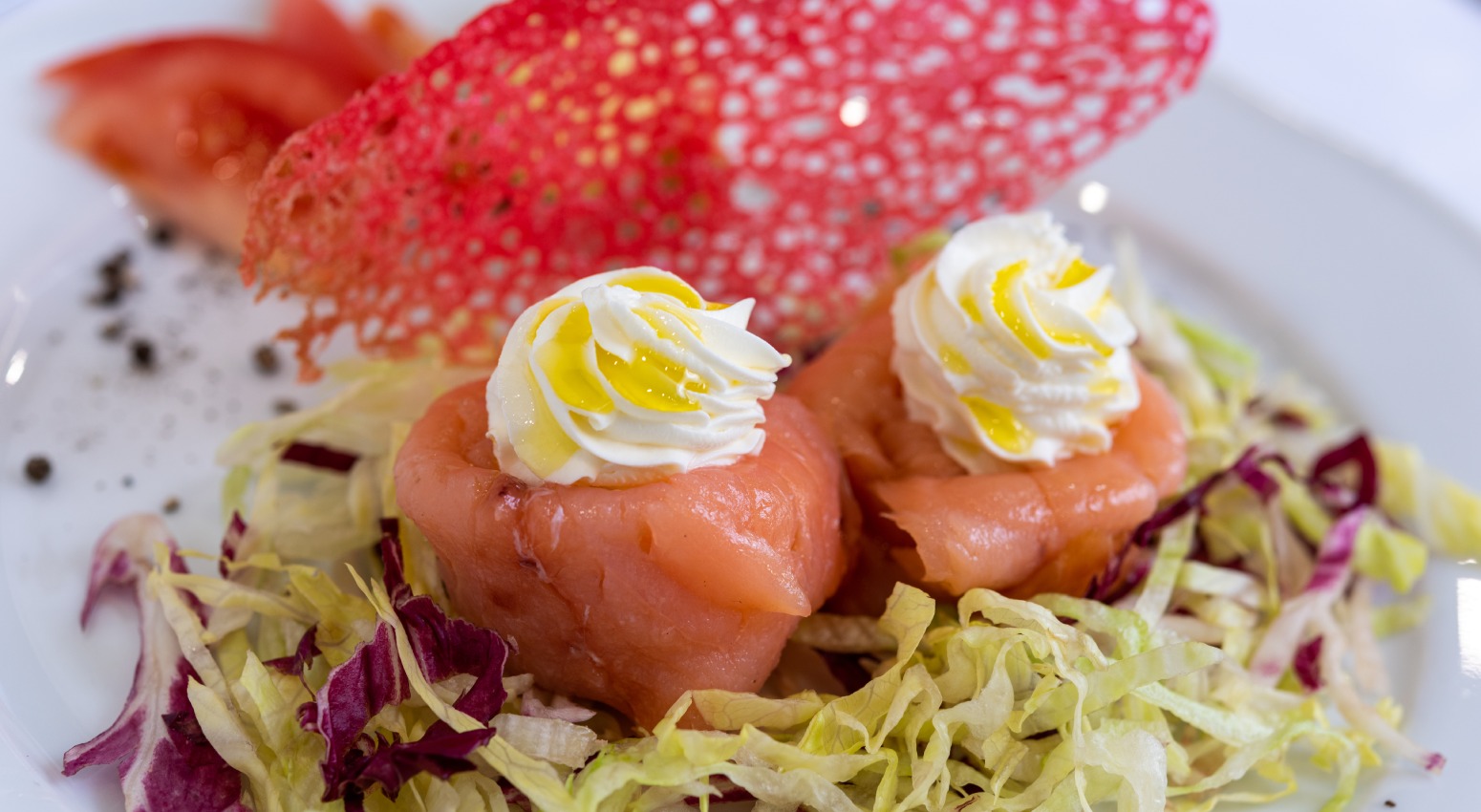 Gourmet dish with salmon