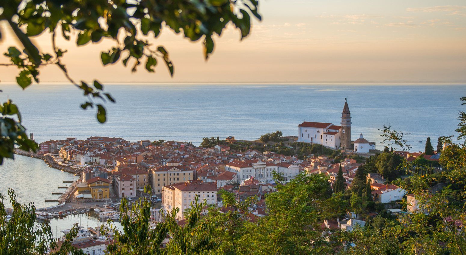 Photo of Piran, Croatia
